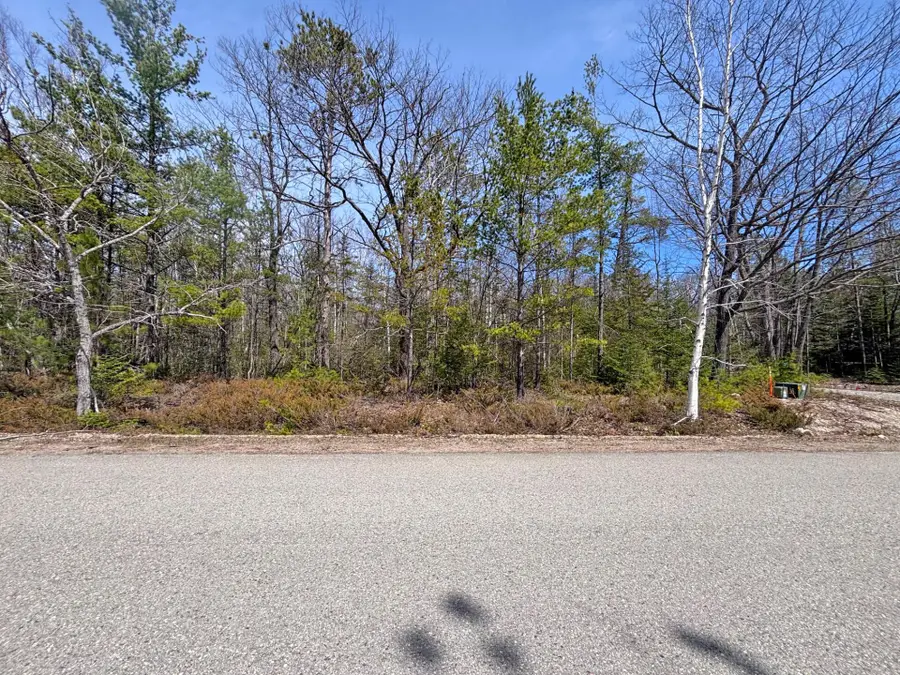 Lot 375 Kauffman Road, Presque Isle, MI 49777 - Image #3
