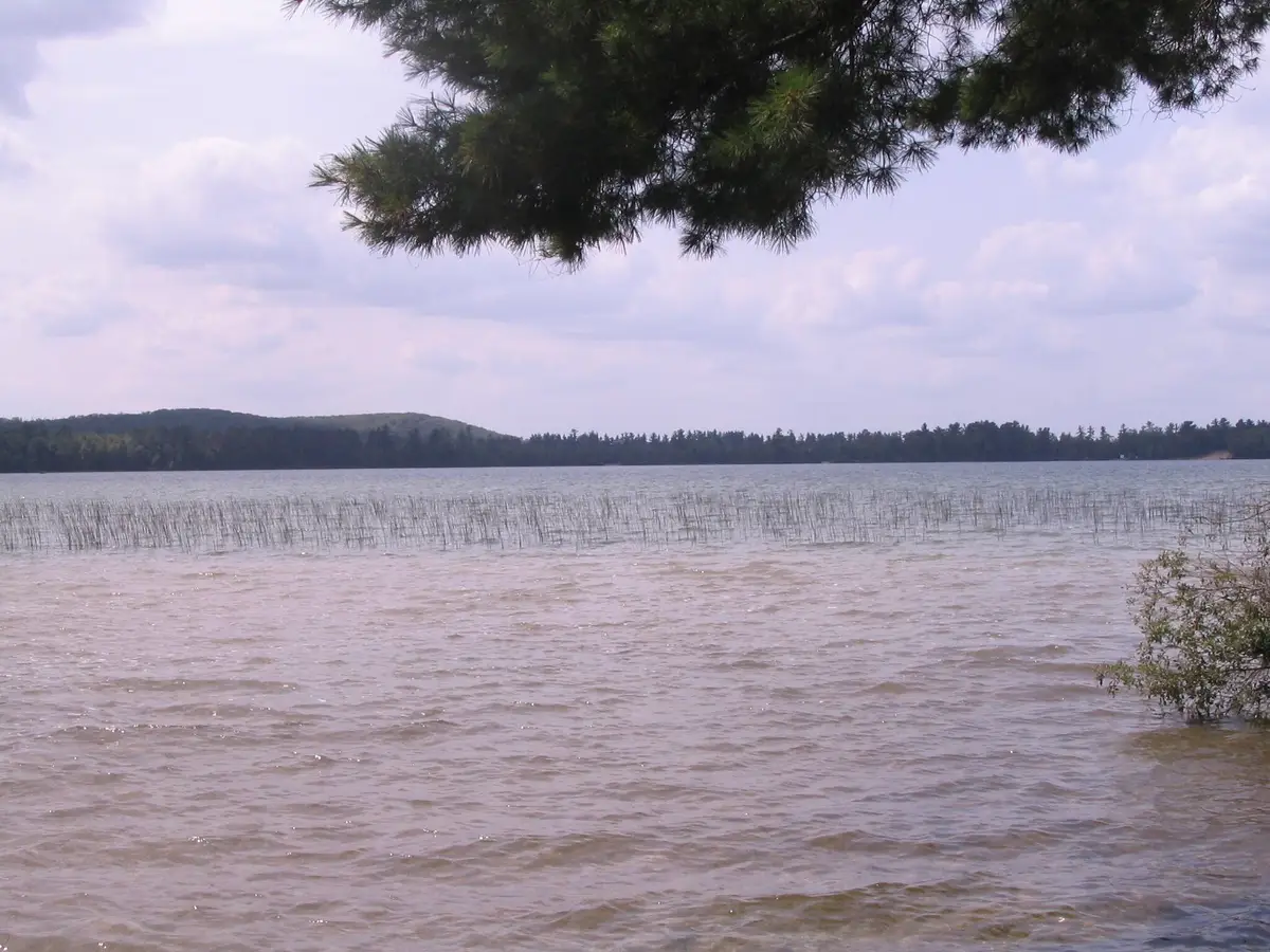 000 Ray Avenue, Grayling, MI 49738 - Image #1