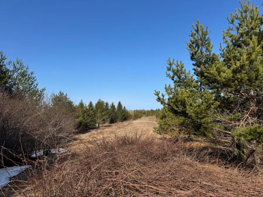 54.4 acres S Mackinac Trail, Dafter, MI 49783 - Image #3
