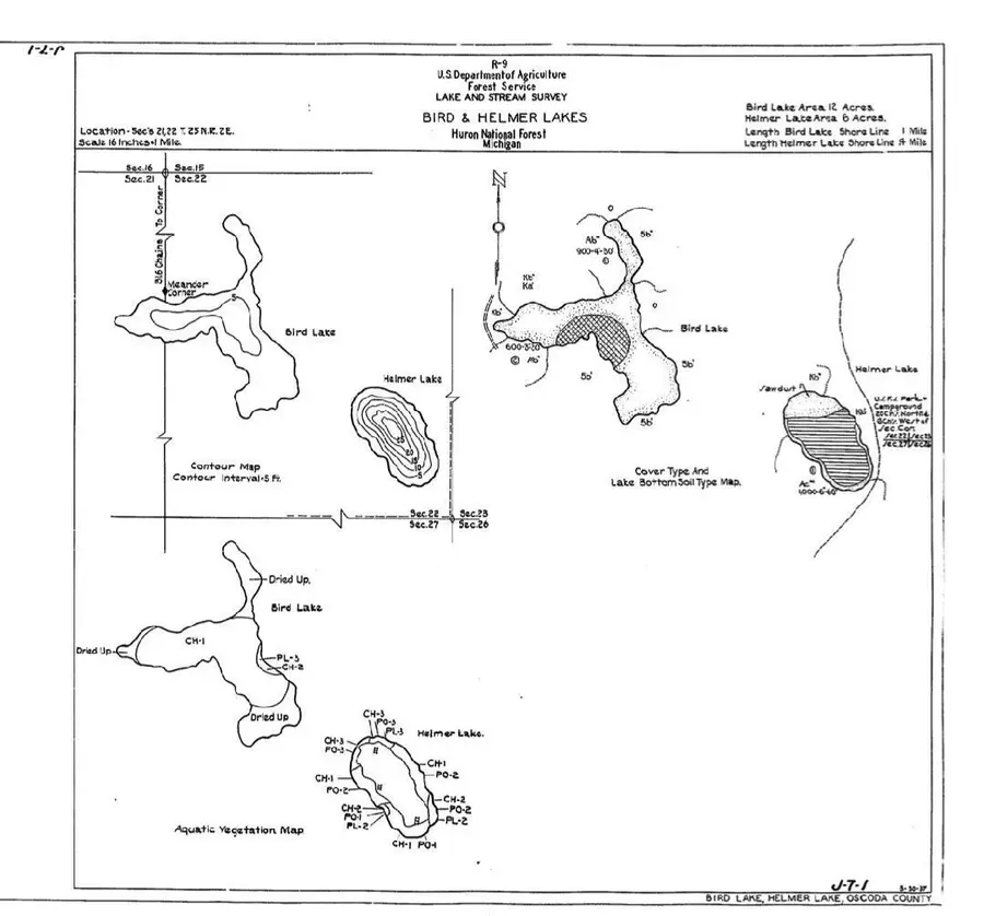 2079 Applebee Lane, Fairview, MI 48621 - Image #3