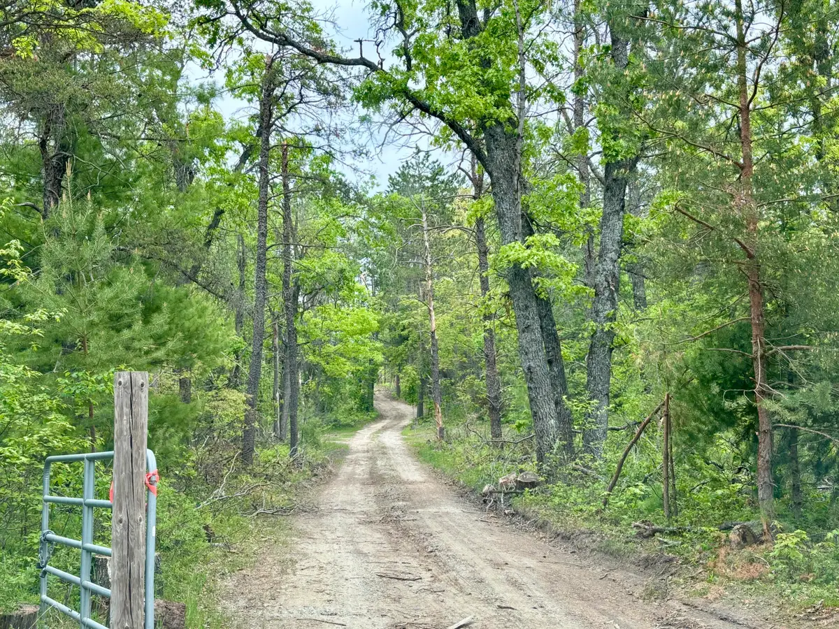 Parcel #C North Townline Road, Lewiston, MI 49756 - Image #1