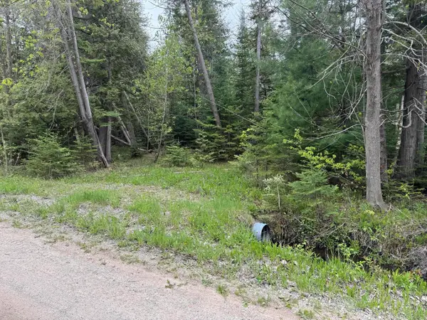 W M-68, Alanson, MI 49706