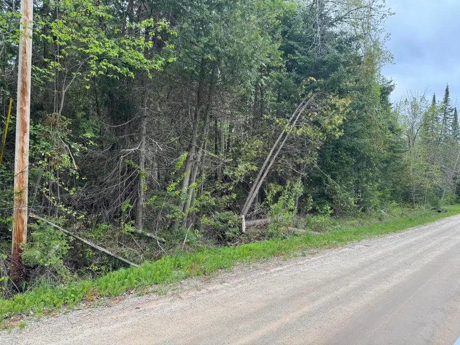 W M-68, Alanson, MI 49706 - Image #3