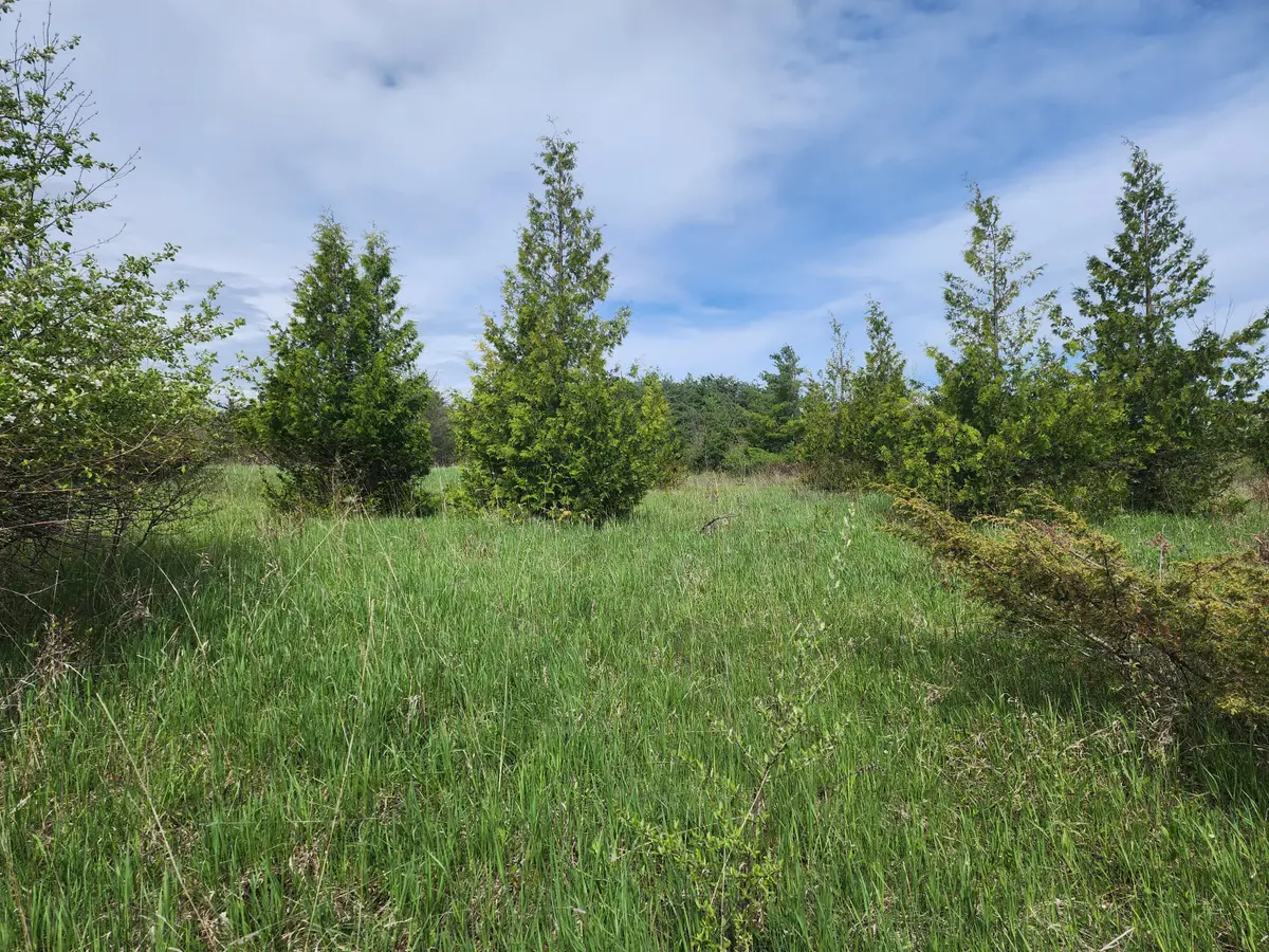 9840 N Straits Highway, Cheboygan, MI 49721 - Image #1