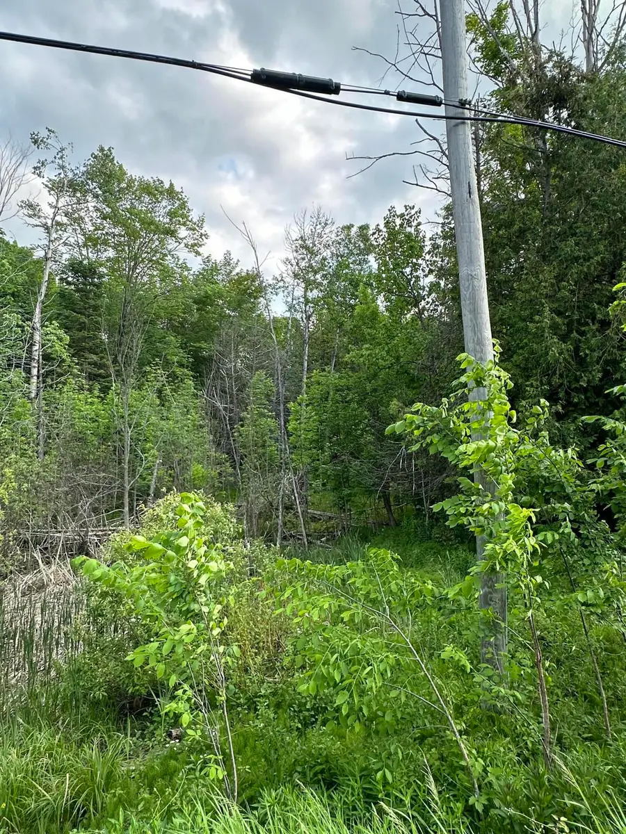 Lots 26-28 W Main Street, Wolverine, MI 49799 - Image #3