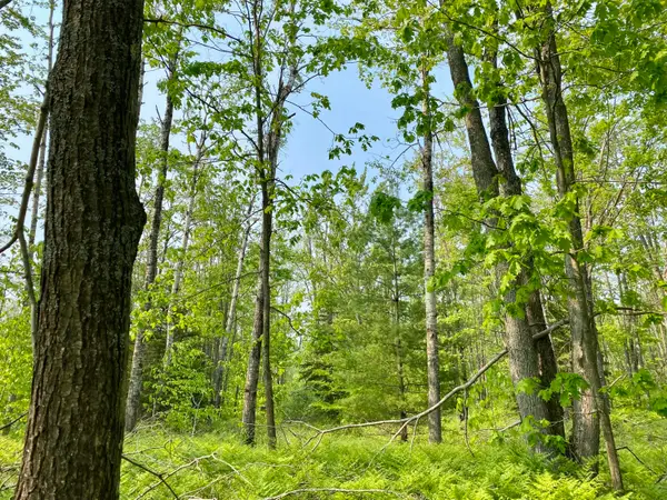 Lot 1827 Sandpiper Trail, Gaylord, MI 49735