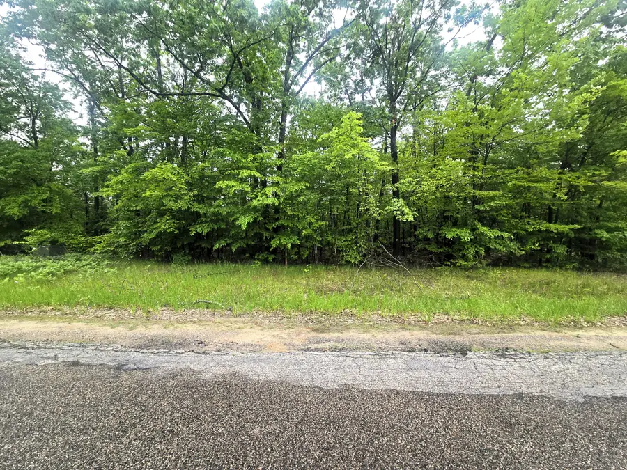 Lot 413 Michaywe Drive, Gaylord, MI 49735 - Image #3