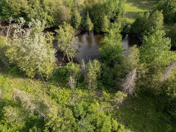 Parcel A W 638 Highway, Onaway, MI 49765