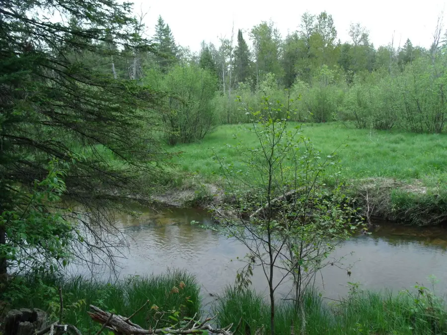 Spikehorn Trail, Indian River, MI 49749 - Image #3