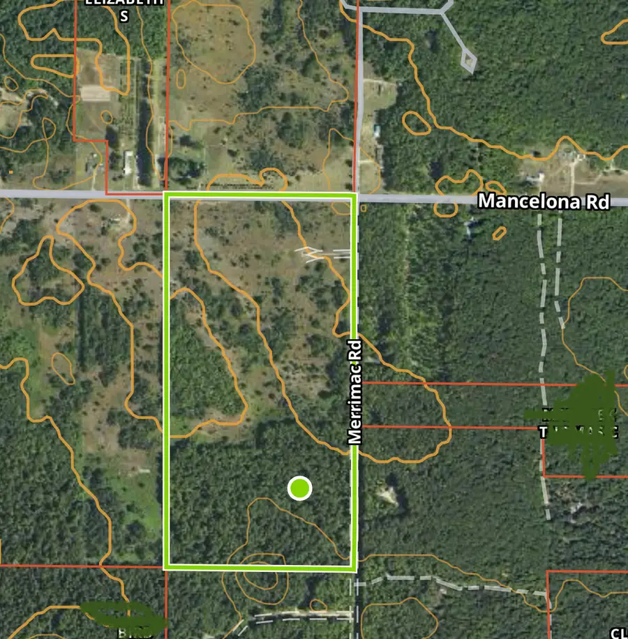 4856 Mancelona Road, Mancelona, MI 49659 - Image #2