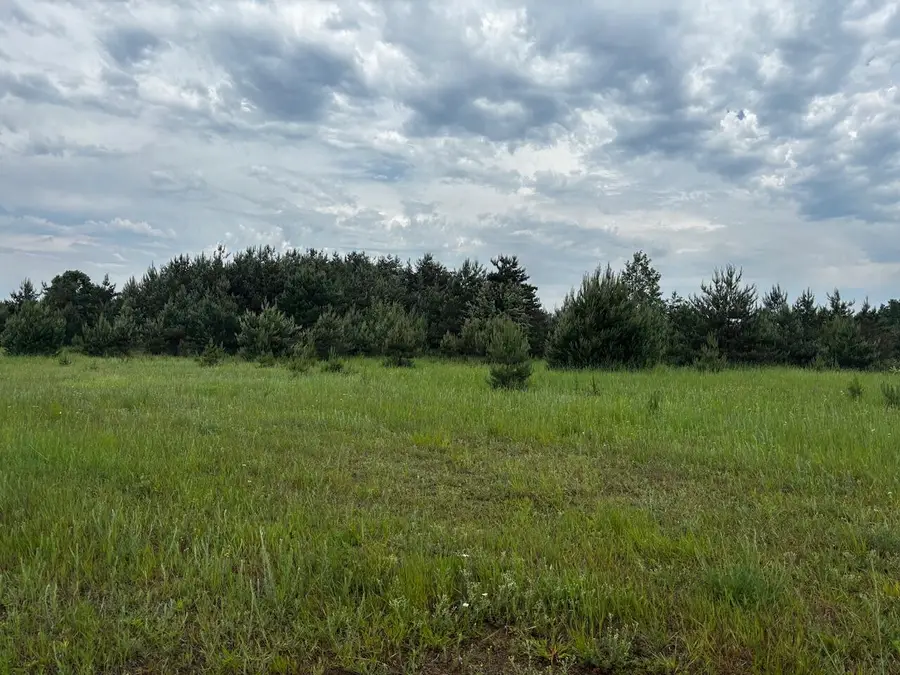 4856 Mancelona Road, Mancelona, MI 49659 - Image #3