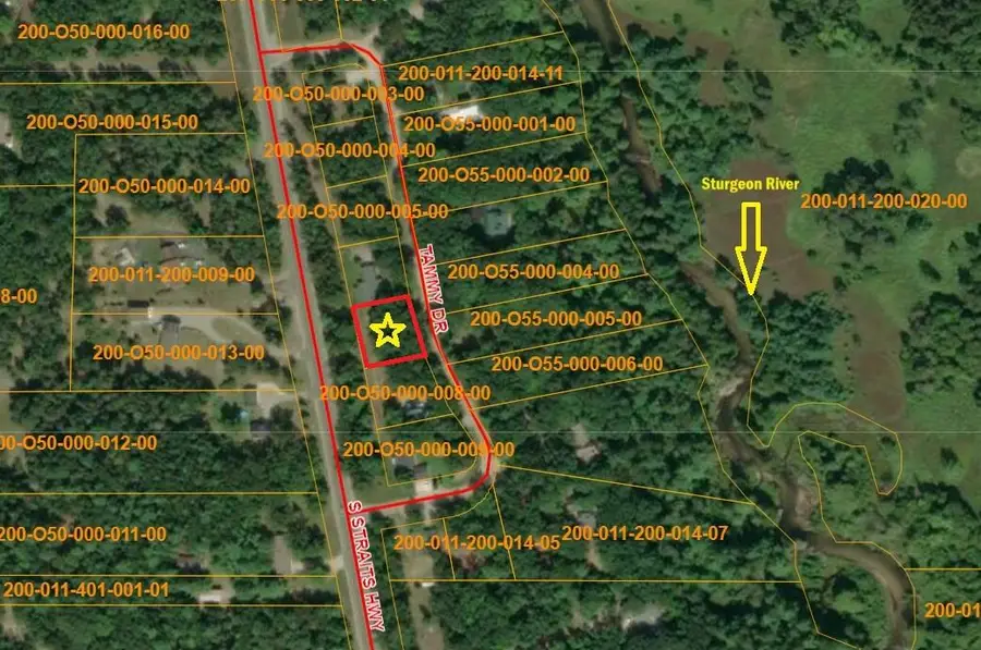 7402 Tammy Drive, Indian River, MI 49749 - Image #2