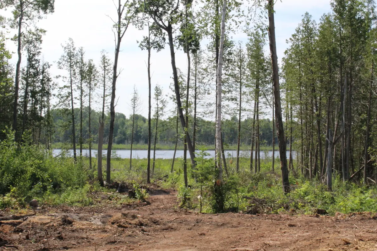 00 Mcgahn, Germfask, MI 49836 - Image #1