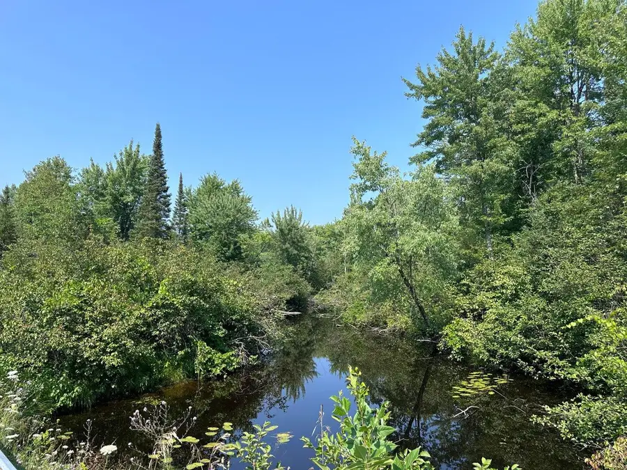 N Black River Road, Cheboygan, MI 49721 - Image #3