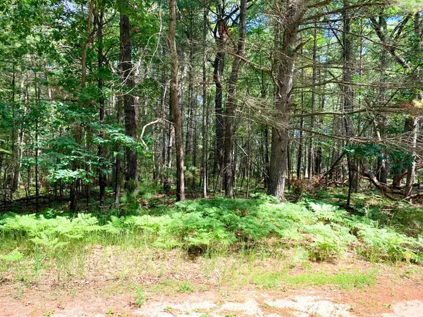 Lot 23 W Nestel Road, Prudenville, MI 48651