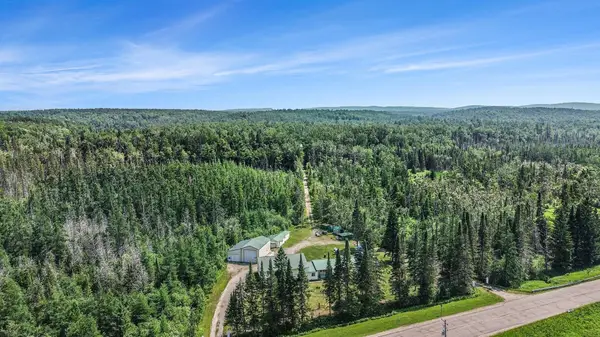 14375 S Straits Highway, Wolverine, MI 49799