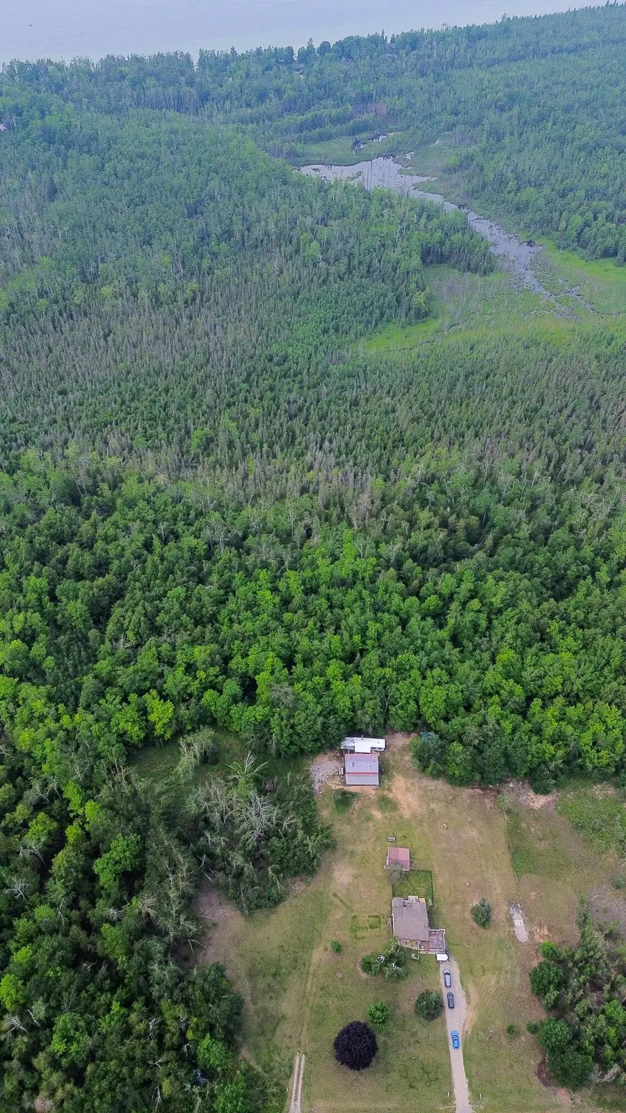 1076 W Devereaux Lake Road, Indian River, MI 49749 - Image #3