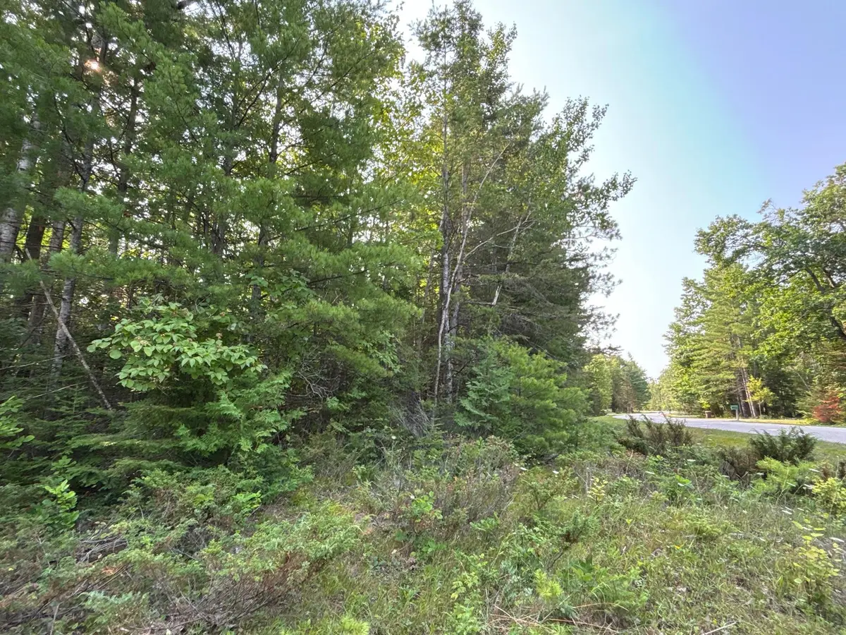 Lot 345 Kauffman Road, Presque Isle, MI 49777 - Image #1