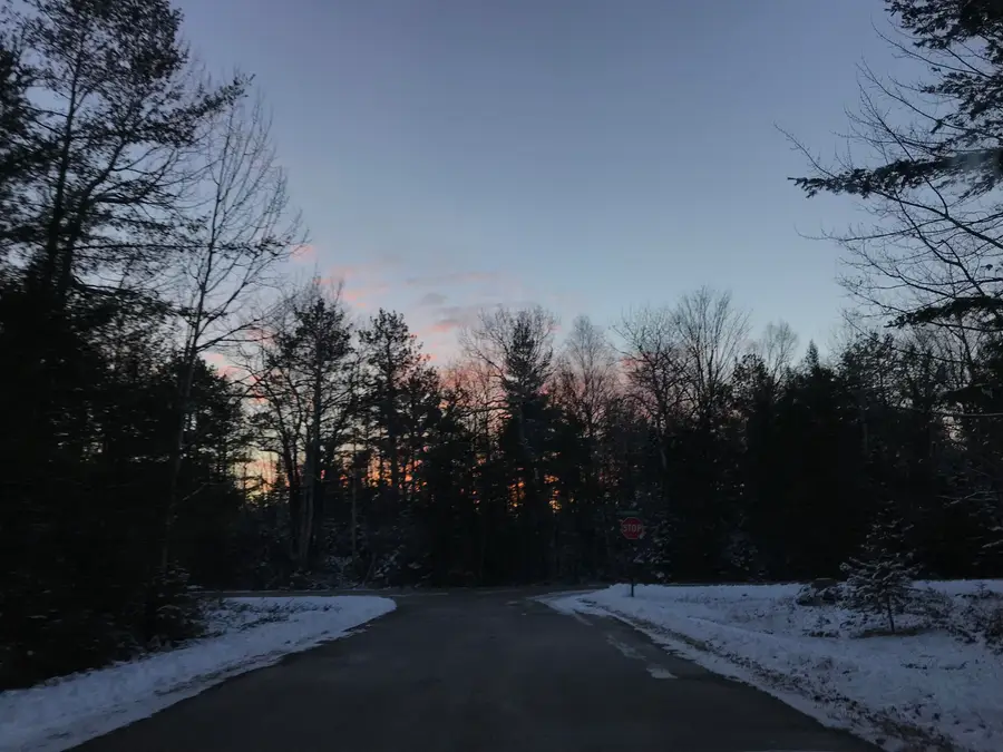 Lot 345 Kauffman Road, Presque Isle, MI 49777 - Image #3