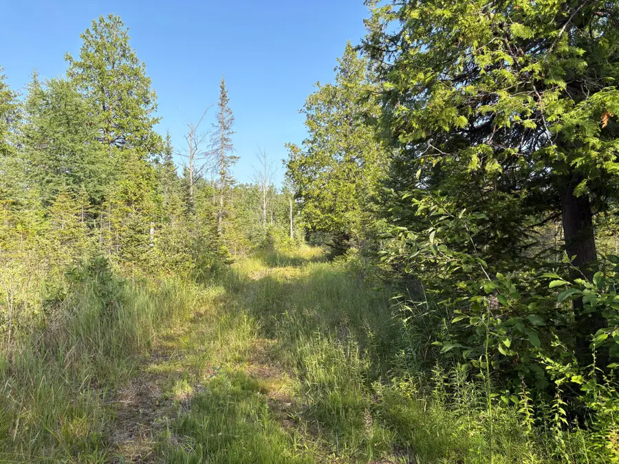 V/L West Airport Highway, Rogers City, MI 49779 - Image #3