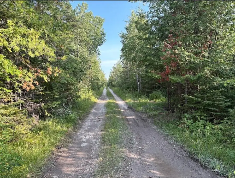 West Airport Highway, Rogers City, MI 49779 - Image #3