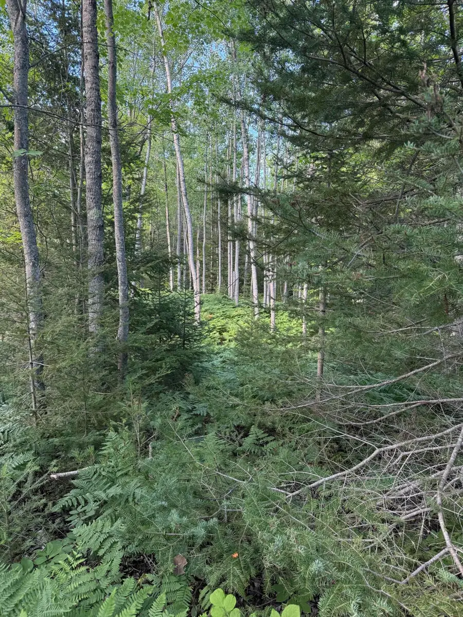 50 acres Herron Road, Alpena, MI 49707 - Image #3