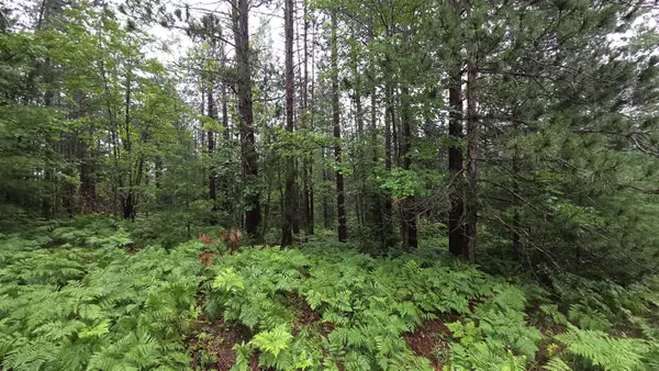 16844 Evergreen Drive, Wolverine, MI 49799