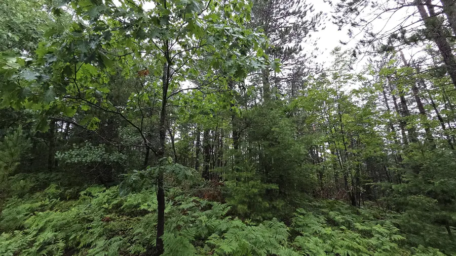 16844 Evergreen Drive, Wolverine, MI 49799 - Image #2