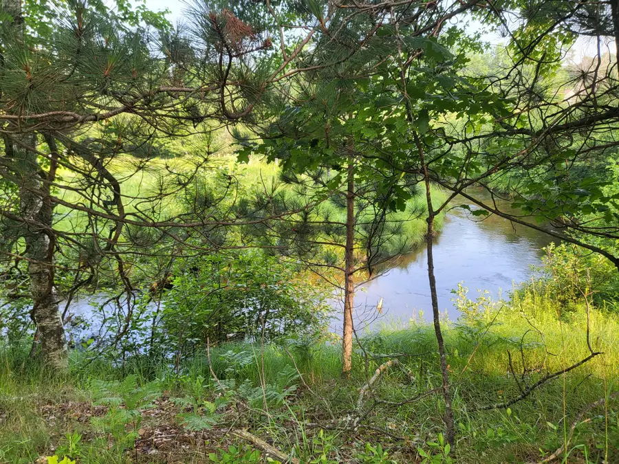 6960 Trem Pal, Grayling, MI 49738 - Image #3