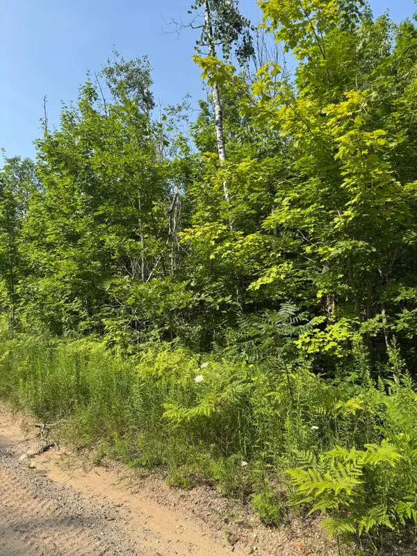 Lot 387 Greenway Drive, Frederic, MI 49733