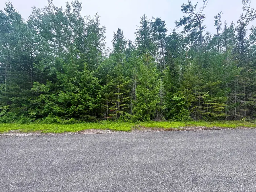 Lot 41 Misty Morning Court, Presque Isle, MI 49777 - Image #3