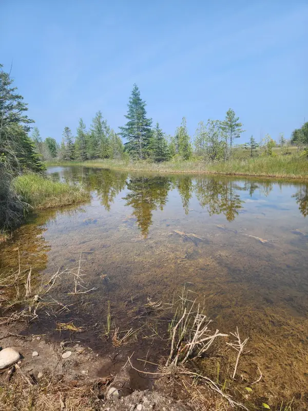 3305 El Cajon, Alpena, MI 49707