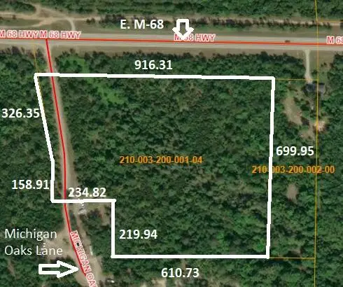 12 Acres Michigan Oaks Lane, Indian River, MI 49749 - Image #2