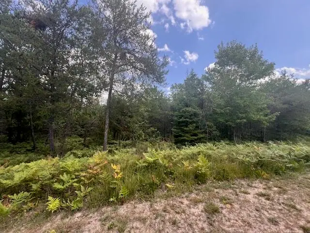 12 Acres Michigan Oaks Lane, Indian River, MI 49749 - Image #3