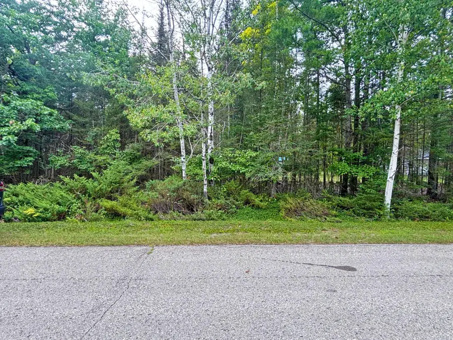 Lot 305 Kauffman Road, Presque Isle, MI 49777 - Image #3