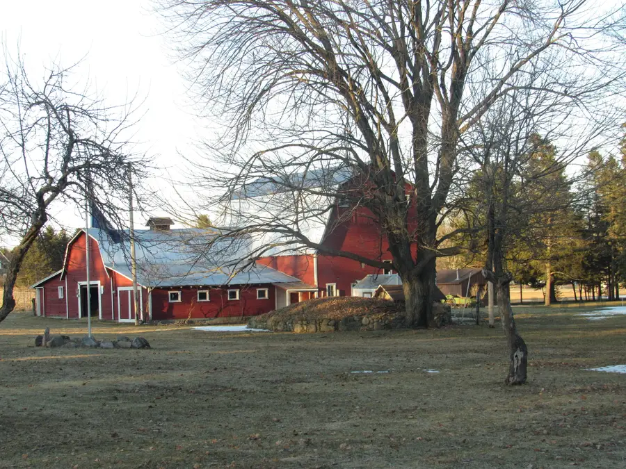 8110 Perry Road, Houghton Lake, MI 48629 - Image #3