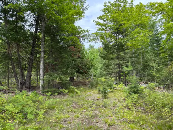 V/L Par B Misiak Highway, Presque Isle, MI 49777