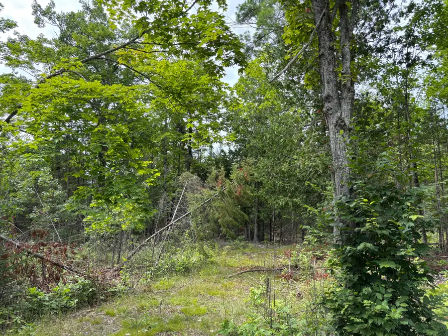 V/L Par B Misiak Highway, Presque Isle, MI 49777 - #2