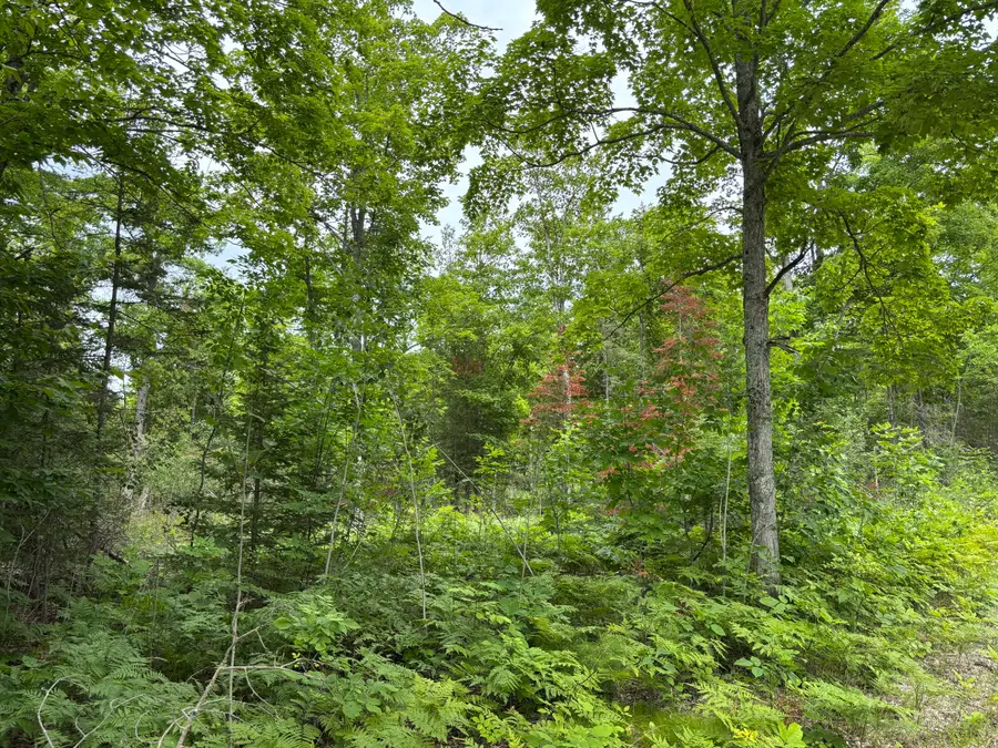 V/L Par B Misiak Highway, Presque Isle, MI 49777 - #3