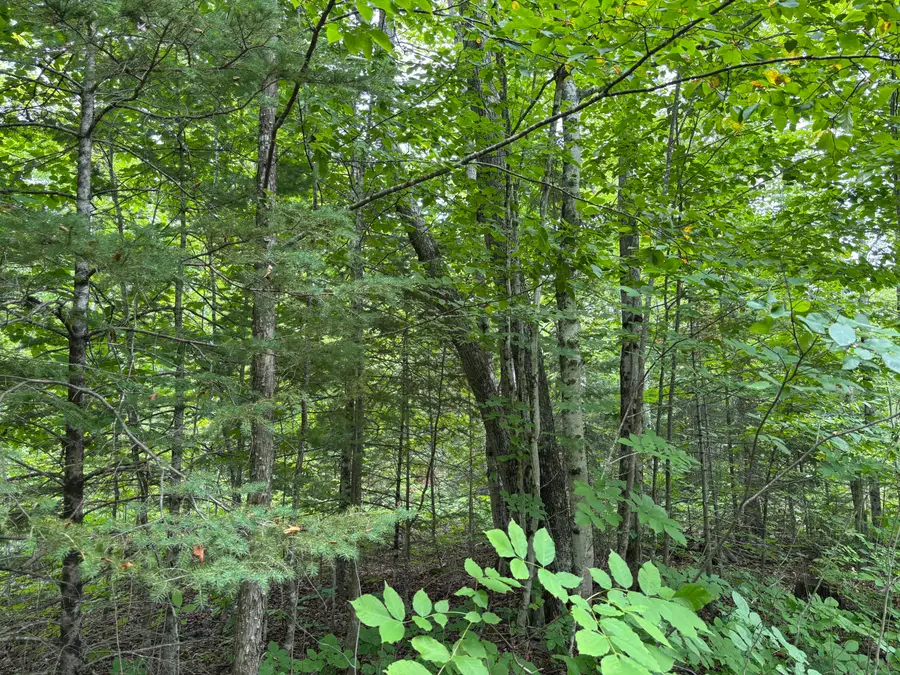 NHN Misiak Highway, Presque Isle, MI 49777 - Image #2