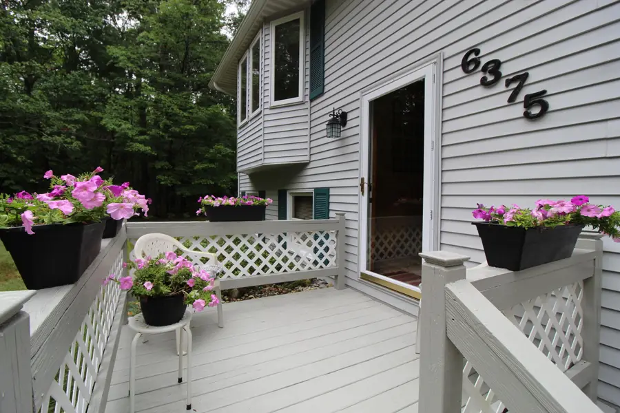 6375 Hanner Trail, Grayling, MI 49738 - Image #3