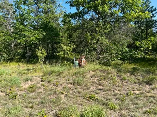 Lot 14 Northwood Drive, Grayling, MI 49738 - Image #1