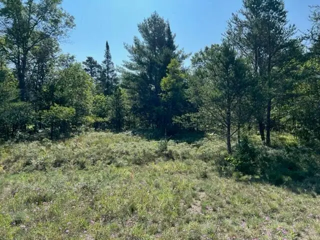 Lot 20 Northwood Drive, Grayling, MI 49738 - Image #3