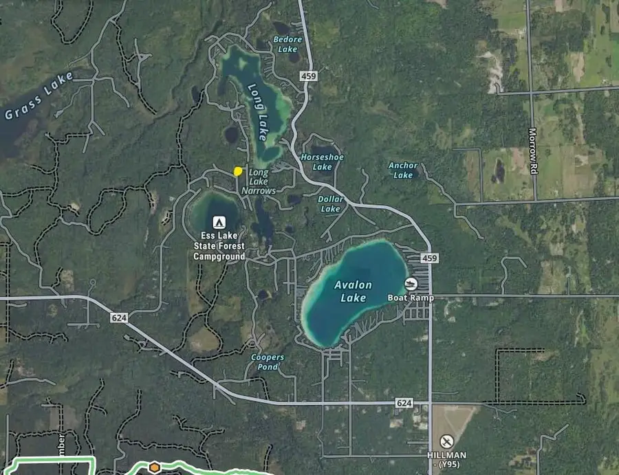 V/L W Pinecrest Circle, Hillman, MI 49746 - Image #2