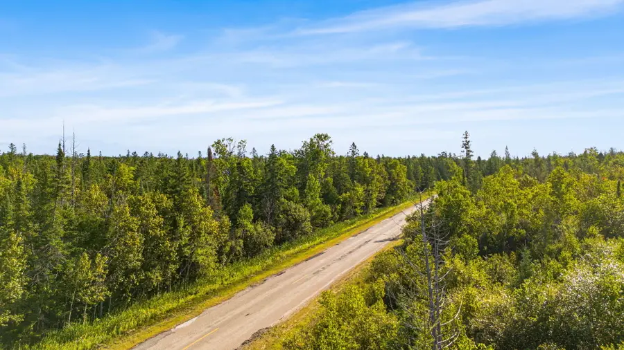 V/L 38.46A E Gill Road, Carp Lake, MI 49718 - Image #3