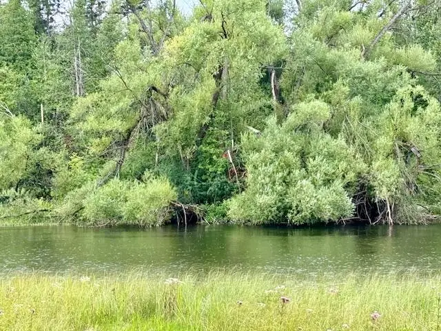 Lot 3 Mograin Rd, Cheboygan, MI 49721 - Image #3