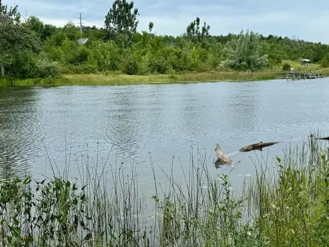 Lot 6 Mograin, Cheboygan, MI 49721 - Image #1