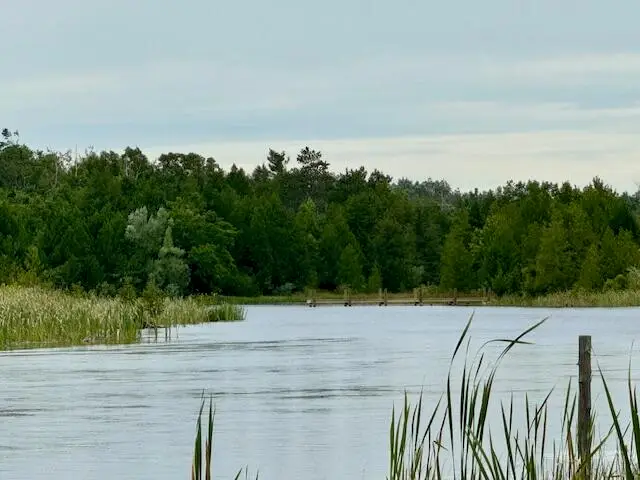 Lot 7 Mograin, Cheboygan, MI 49721 - Image #3