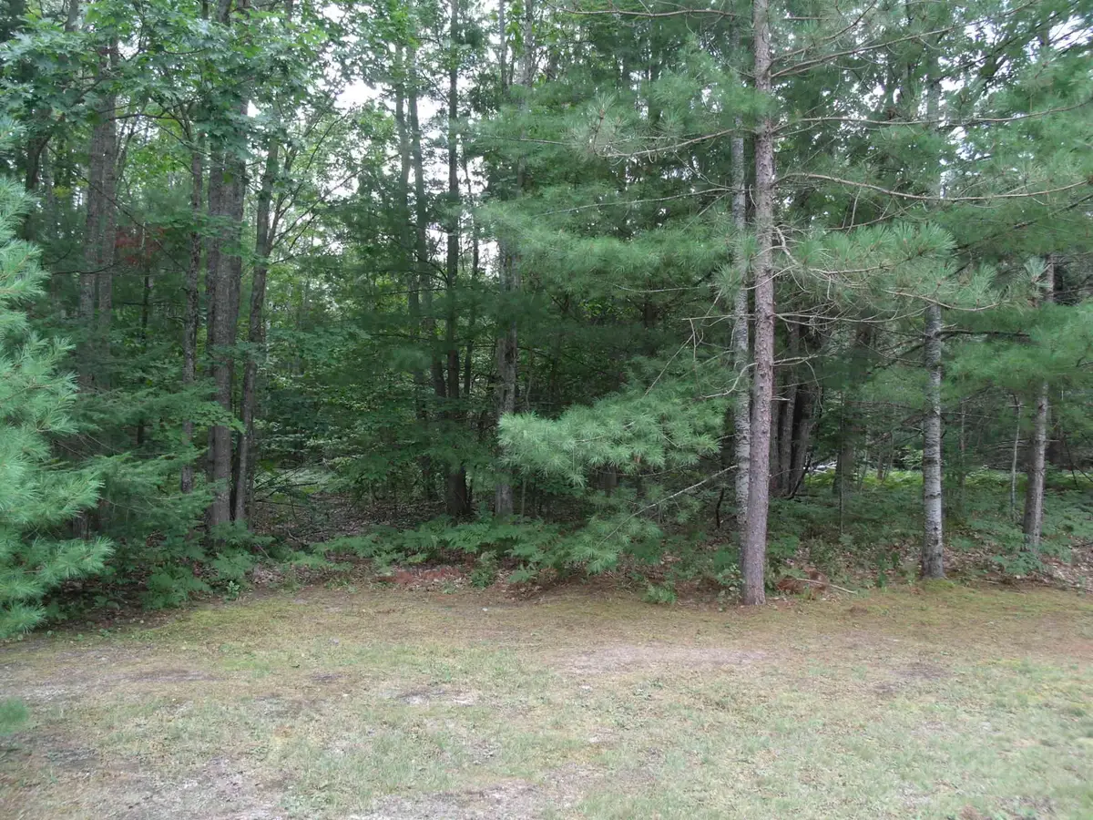 Longfellow Drive, Cheboygan, MI 49721 - Image #1