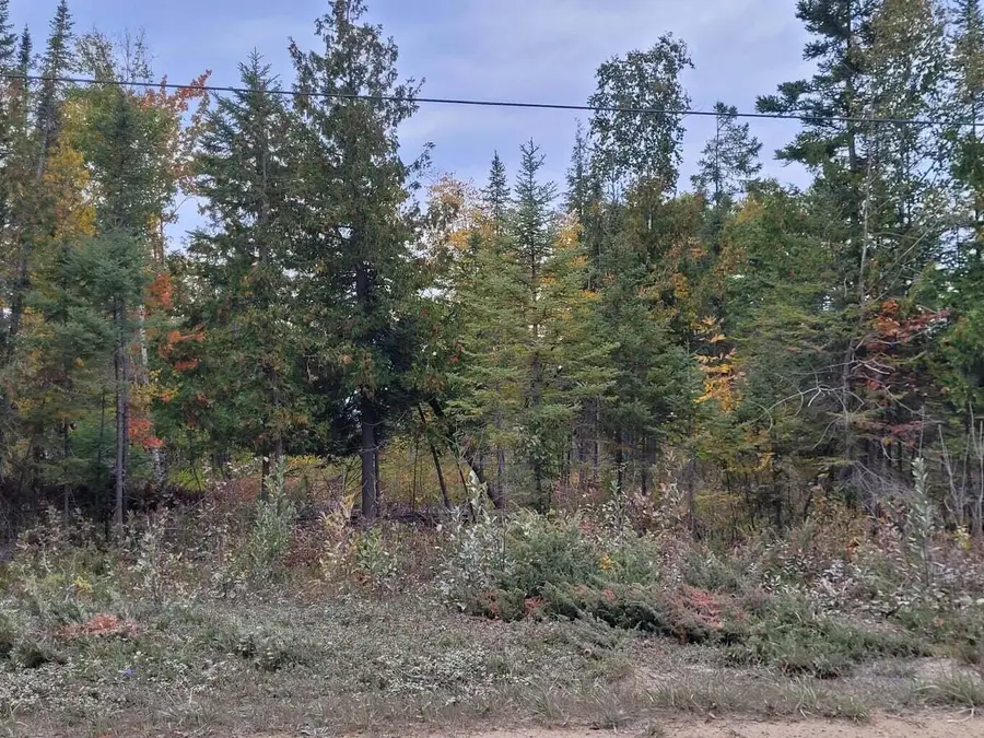 Airport Highway, Rogers City, MI 49779 - Image #3